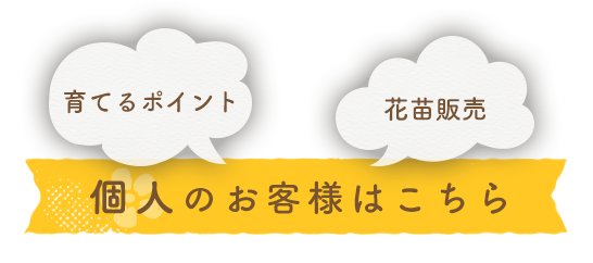 育てるポイント 花苗販売 個人のお客様はこちら