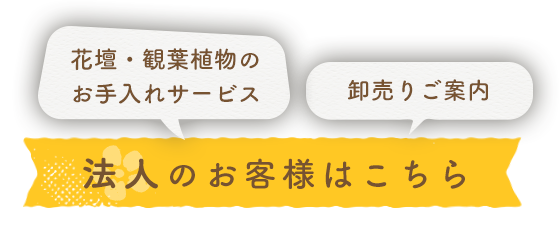 花壇・観葉植物のお手入れサービス 卸売りご案内 法人のお客様はこちら