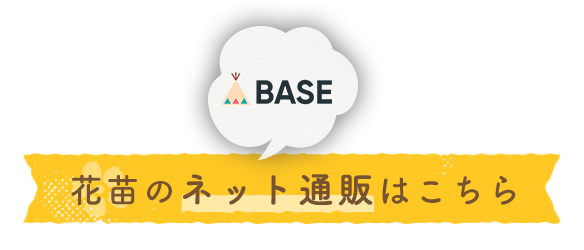 BASE 花苗のネット通販はこちら